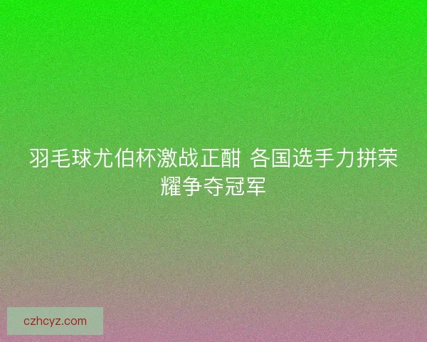 羽毛球尤伯杯激战正酣 各国选手力拼荣耀争夺冠军